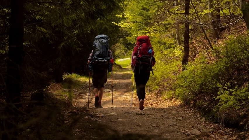 "cómo elegir una mochila de trekking".